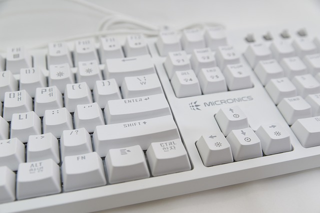 Fremtidens gaming: Hvilke trends former online spil i 2024?